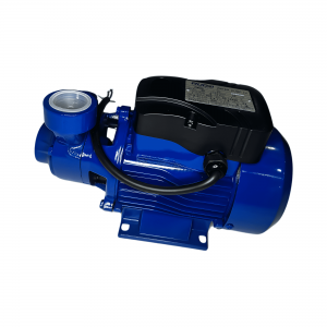 Bomba Periférica RUGGI QB60C 0,5 CV MONO 220V