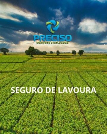 Seguro - SEGURO DE LAVOURA