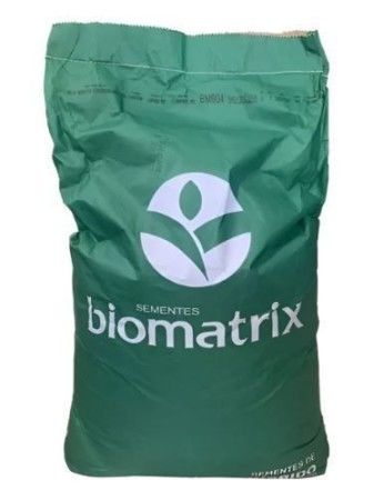 MILHO HÍBRIDO BM904