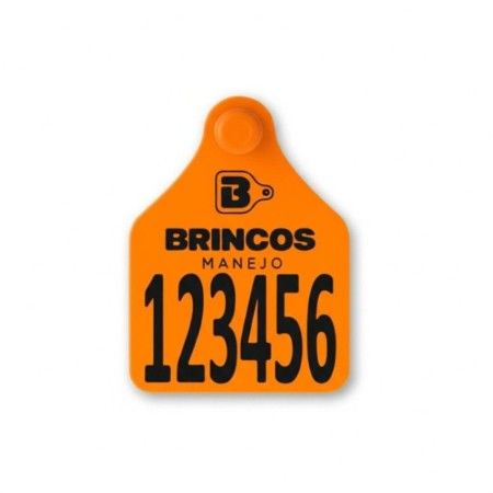 BRINCO BOVINO G LARANJA - Brincos Manejo