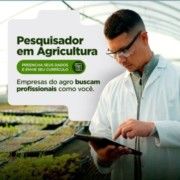Faça o Upload do seu currículo aquo