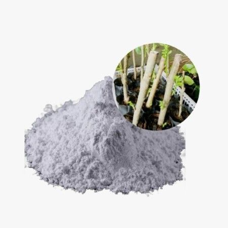 ÁCIDO INDOLBUTÍRICO AIB PÓ ENRAIZADOR HORMÔNIO 6000PPM-1KG