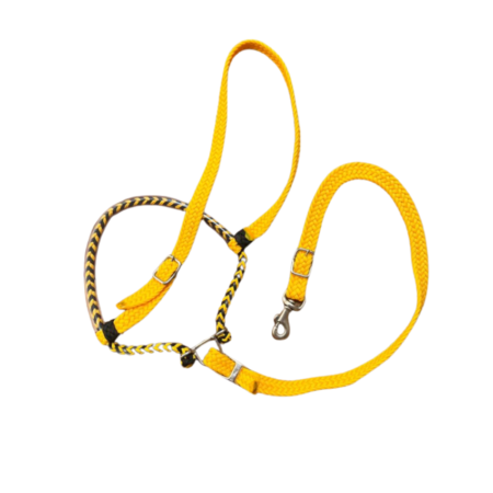 Gamarra GV Trançada - Amarelo com Preto