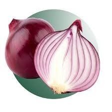 Cebola IPA 10 100g Horticeres