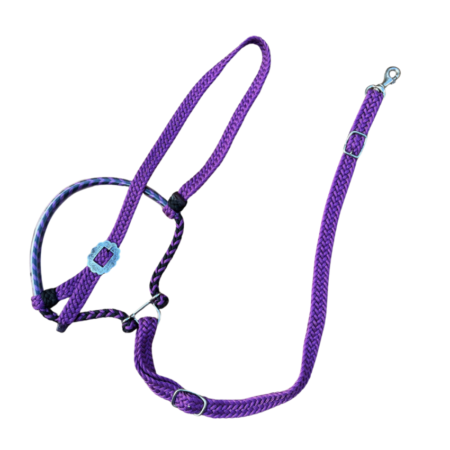 Gamarra GV Trançada - Roxo