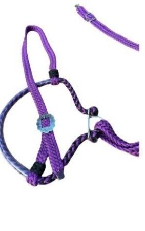 Gamarra GV Trançada - Roxo