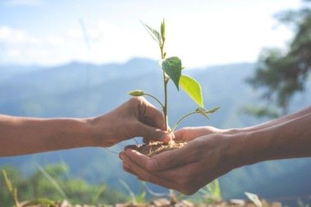 ISO 14001:2015|Sistemas de Gestão Ambiental|Interpretação - AO VIVO - 18 Horas/Aula