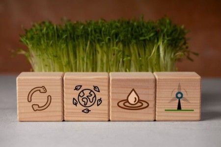 Introdução ao Conceitos ESG - AO VIVO - 9 Horas/Aula