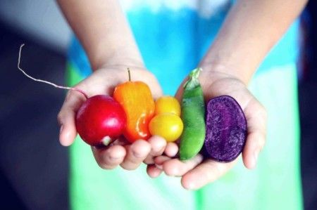 Turma 50 - Especialização Técnica em Segurança de Alimentos - Ao vivo - 214 Horas/Aula
