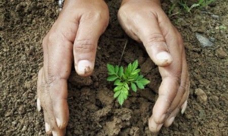 Treinamento de Transição ISO 14001:2026 | EAD
