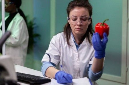 HACCP/APPCC|Análise de Perigos e Pontos Críticos de Controle|Interpretação - AO VIVO - 18 Horas/Aula