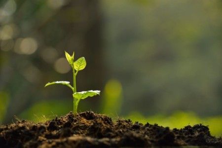 Sistemas de Gestão Ambiental ISO 14001:2026 | Introdução EAD