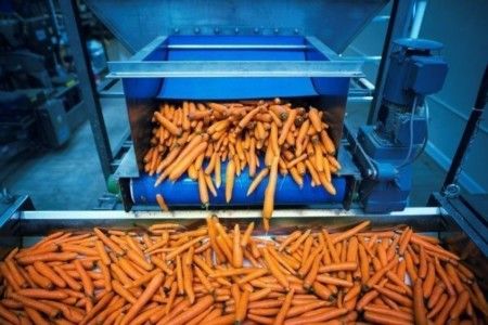 MBA Executivo em Gestão da Qualidade e Segurança dos Alimentos com Formação em Auditor Interno FSSC 22000 | EAD + Ao vivo  - 362 Horas/Aula