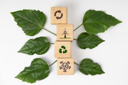 MBA em Estratégias ESG e Sustentabilidade Corporativa - AO VIVO