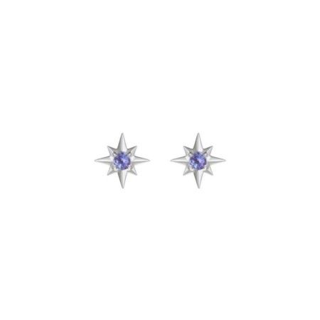 Stud Wind Rose Mini - Tanzanita