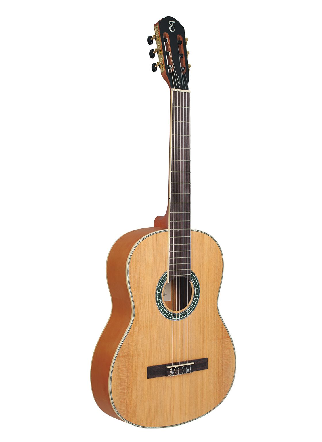 VIOLAO NYLON T/SPRUCE B/S AGATHIS PARATY NTS TAGIMA