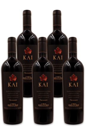 VERTICAL KAI CARMENERE (20 | 11 | 13 | 14 | 15)