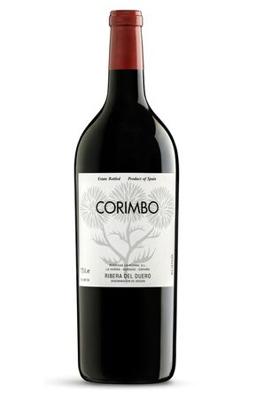 CORIMBO MAGNUM 2019