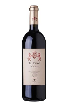 VINHO TINTO PINO DI BISERNO 2021 - Toscana IGT Rosso