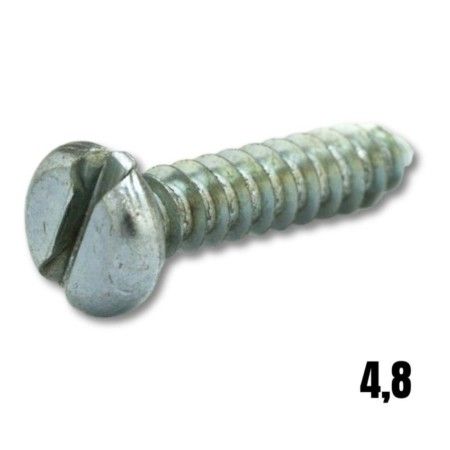 Parafuso Auto-atarraxante Panela Fenda Din 7971 4,8