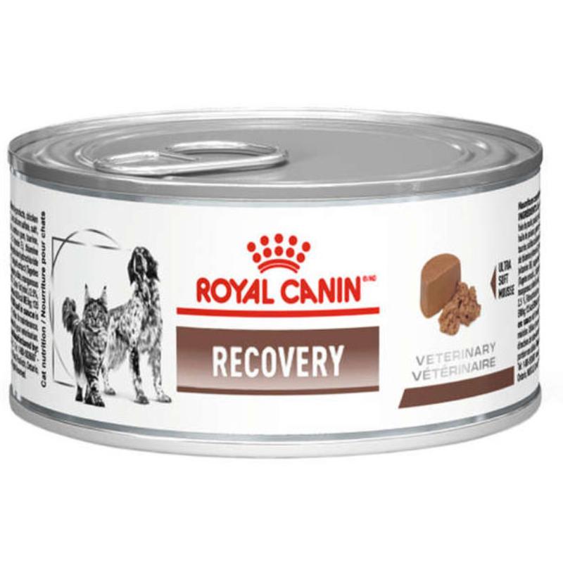 Ração Royal Canin Lata Canine e Feline Veterinary Diet Recovery Wet - 195 g