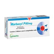 Marbocyl P 80mg Vetoquinol, cx C/ 12 comprimidos